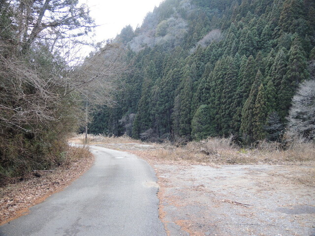 20140126-01_mikawa-taguchi.JPG