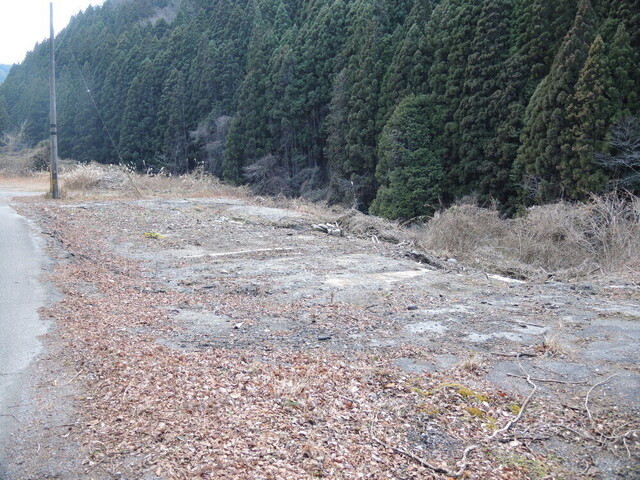 20140126-02_mikawa-taguchi.JPG