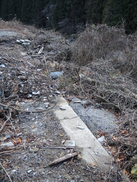 20140126-03_mikawa-taguchi.JPG