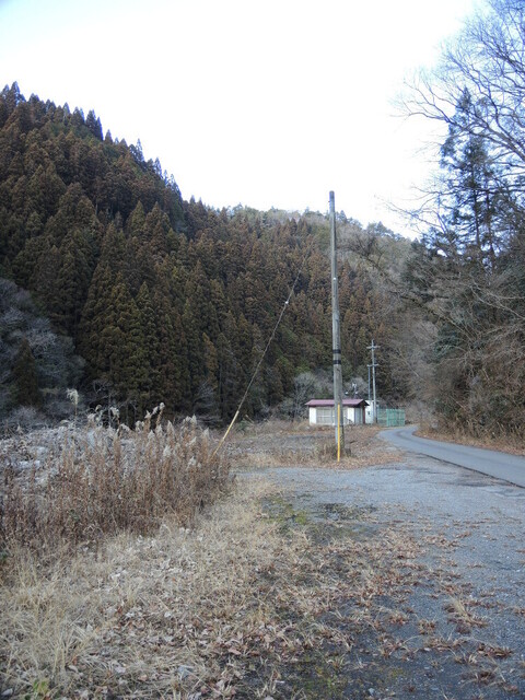 20140126-05_mikawa-taguchi.JPG