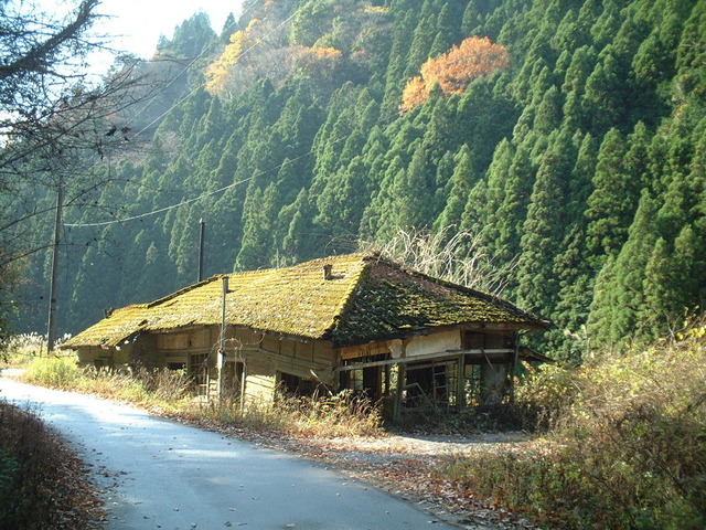 20140126-07_mikawa-taguchi2003.JPG