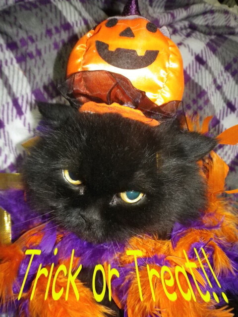 20141029-halloween_az.JPG