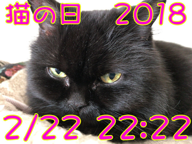 20180222-01_az.jpg