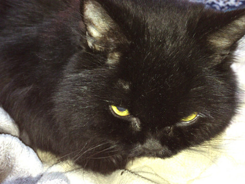 20201223-01_az.jpg