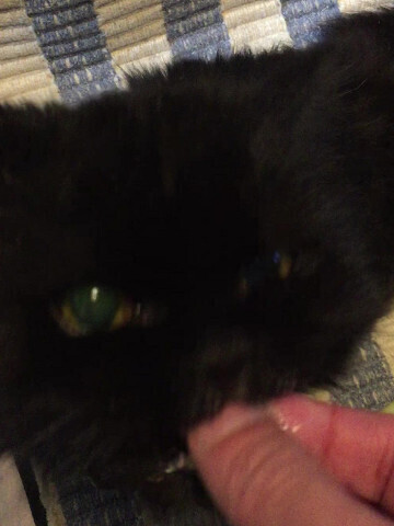 20240124-06_20210801.jpg