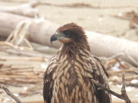 20241030-05_tobi.jpg